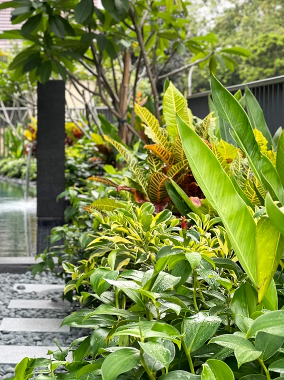 Microsite-Garden 1
